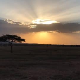 Covid19 in Tanzania: implications for …….