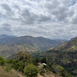 Usambara Mountains (1): kennis maken met de tuin van Tanzania
