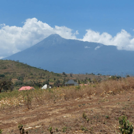 Beperkt aantal opleidingsplaatsen vormt een uitdaging
