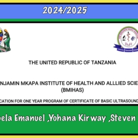 Unexpectedly quick: 3 students placed in Dodoma Unexpectedly quick: 3 students placed in Dodoma